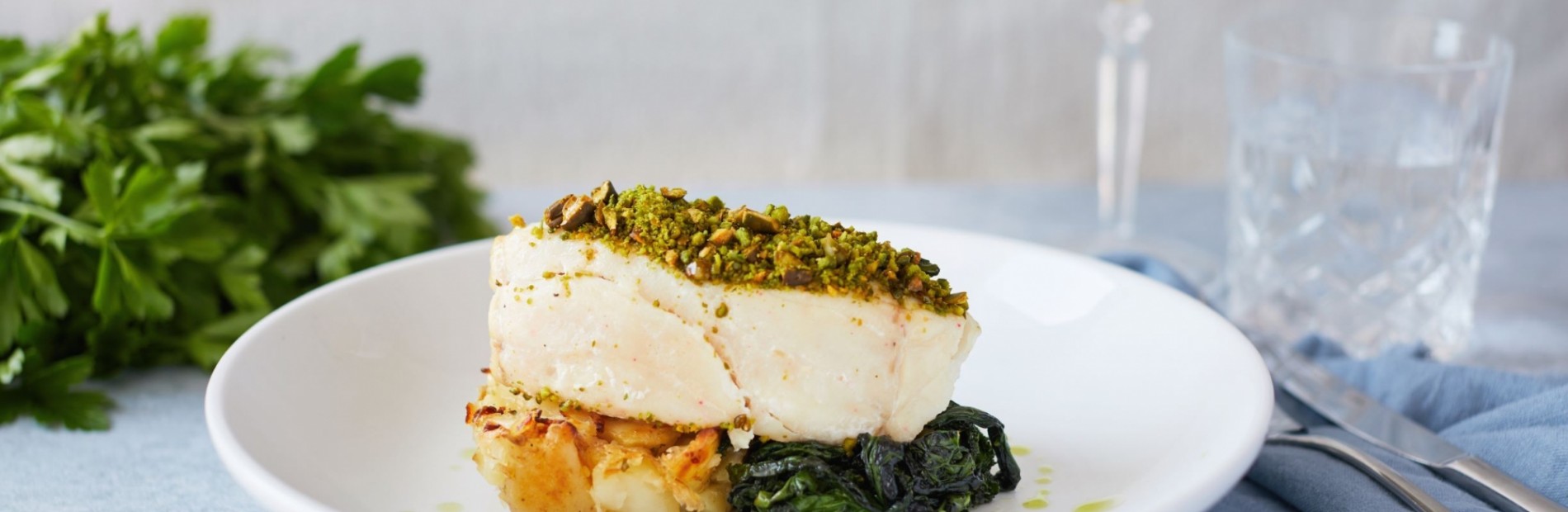 Hake (1)