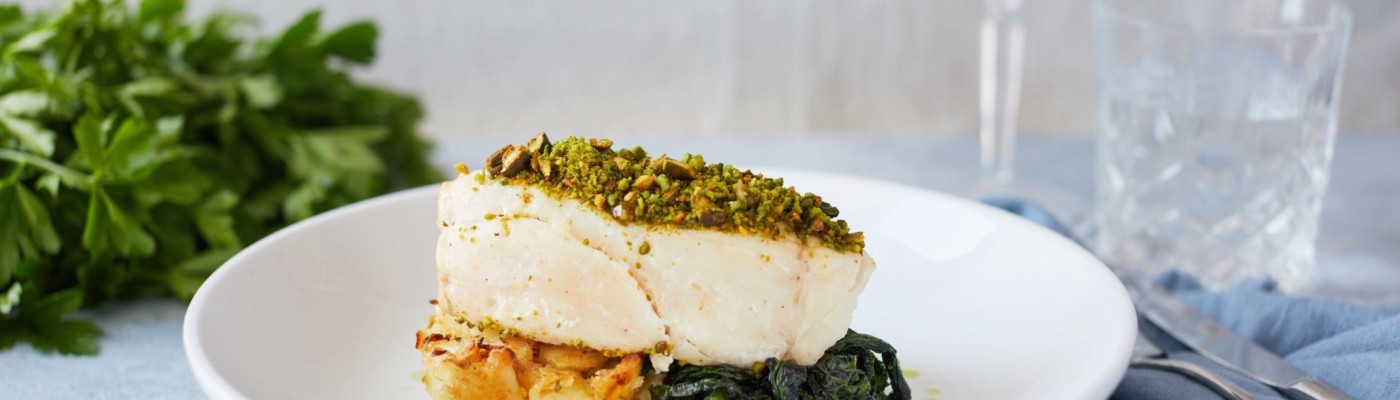 Hake (1)