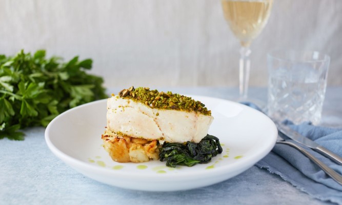Hake (1)