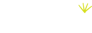 Serentipi